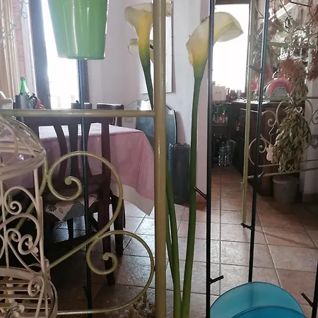 לינה וארוחת בוקר Casacori