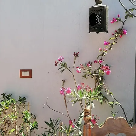 Couette-café Casacori Orosei