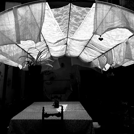 Casacori أروسييْ