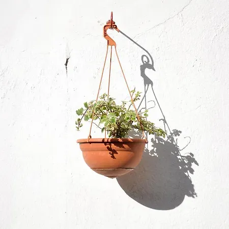 Bed & Breakfast Casacori