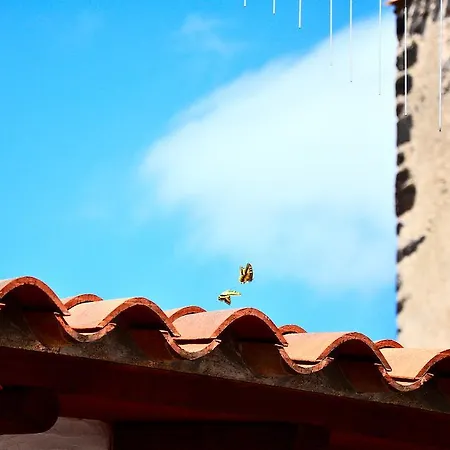 Casacori Орозеи